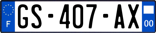 GS-407-AX