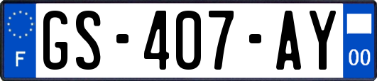 GS-407-AY