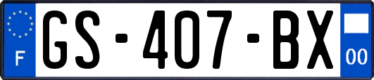 GS-407-BX