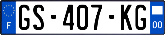 GS-407-KG