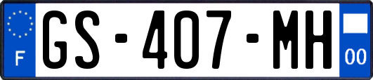 GS-407-MH