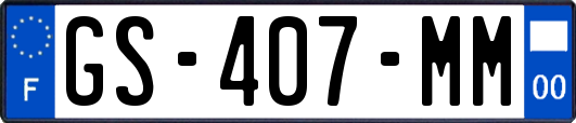 GS-407-MM