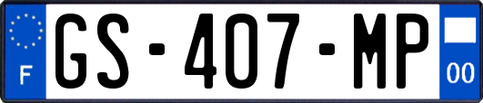 GS-407-MP