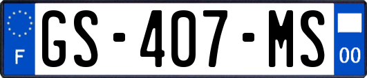 GS-407-MS