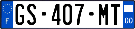 GS-407-MT