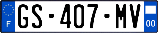 GS-407-MV