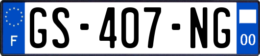 GS-407-NG