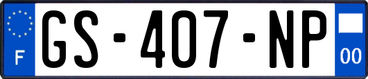 GS-407-NP