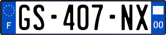GS-407-NX