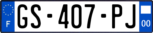 GS-407-PJ