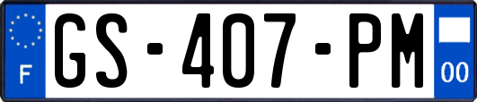 GS-407-PM