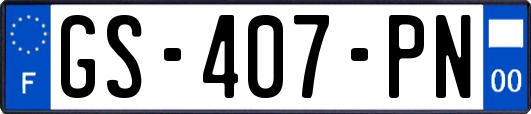 GS-407-PN