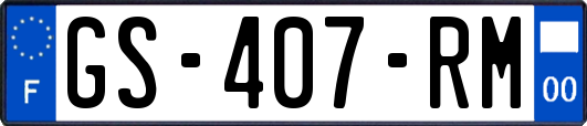 GS-407-RM