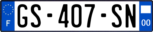 GS-407-SN