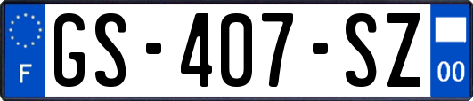 GS-407-SZ