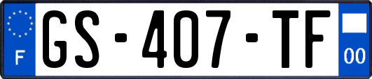 GS-407-TF