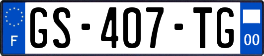 GS-407-TG