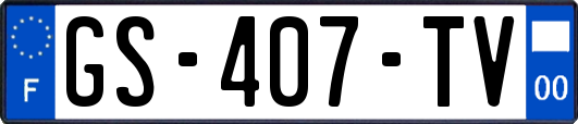 GS-407-TV