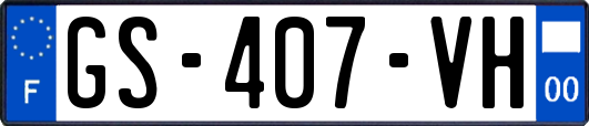 GS-407-VH