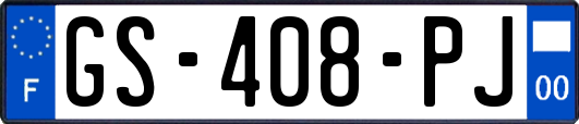 GS-408-PJ