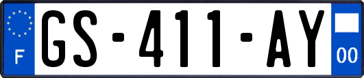 GS-411-AY