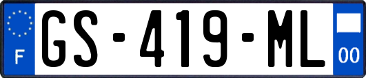 GS-419-ML