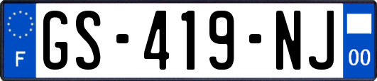 GS-419-NJ