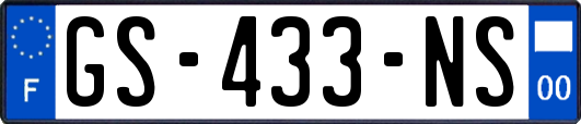 GS-433-NS