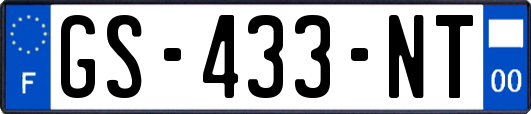 GS-433-NT