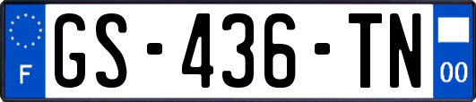 GS-436-TN