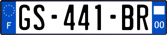 GS-441-BR