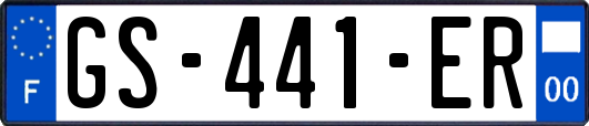 GS-441-ER