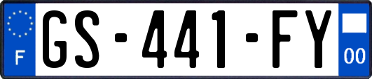 GS-441-FY