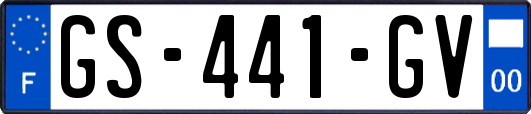 GS-441-GV