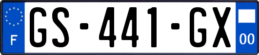 GS-441-GX