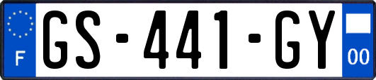 GS-441-GY