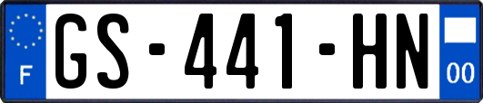 GS-441-HN