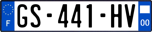 GS-441-HV