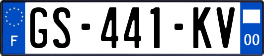 GS-441-KV