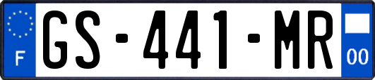 GS-441-MR