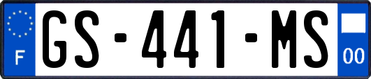GS-441-MS