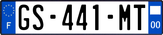 GS-441-MT