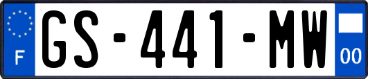 GS-441-MW