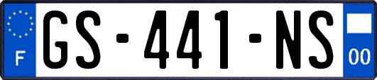 GS-441-NS