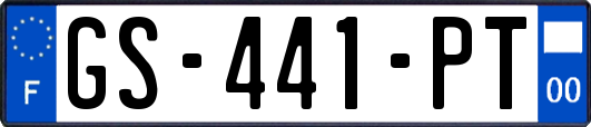 GS-441-PT