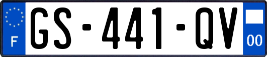 GS-441-QV