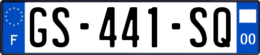 GS-441-SQ
