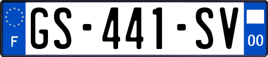 GS-441-SV