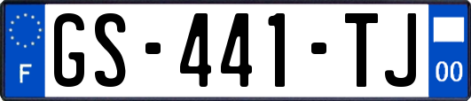 GS-441-TJ