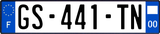 GS-441-TN